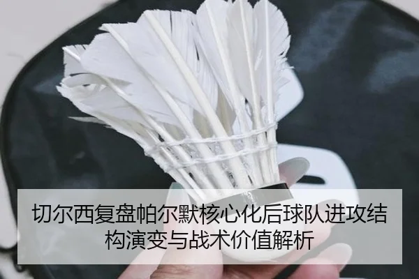 切尔西复盘帕尔默核心化后球队进攻结构演变与战术价值解析